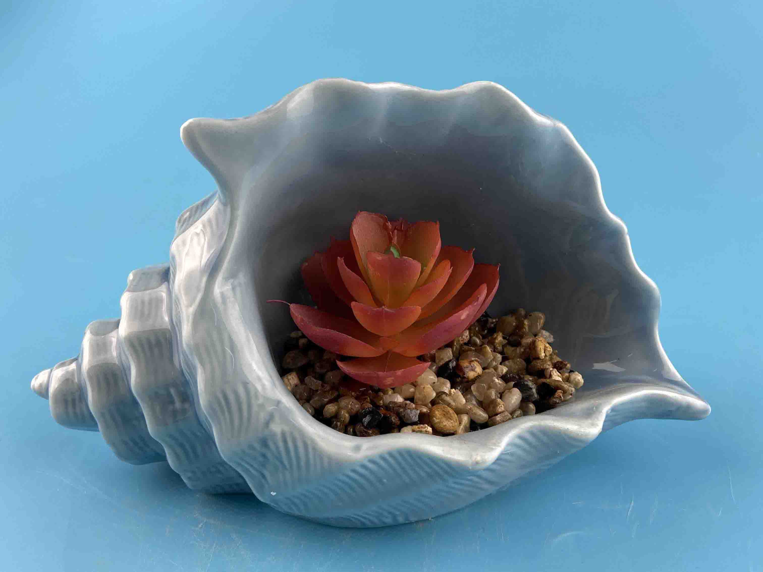 Ceramic Cache Pot with Succulent